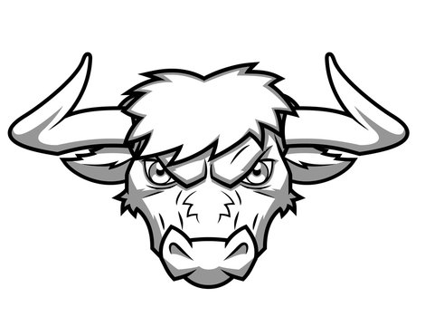 Bull’s  head 2