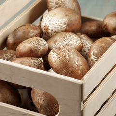 Brown cap mushrooms in box