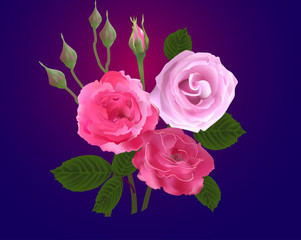 bunch of pink buds and roses on blue