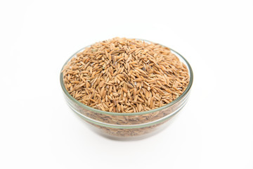 paddy rice in bowl on white background