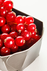 red currant in the box