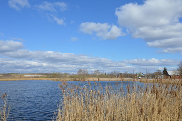 Весной на пруду © pupulica