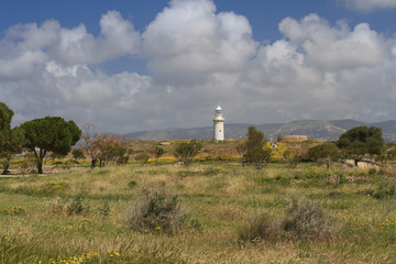 Fototapeta na wymiar Spring in the Archaeological Park of Paphos Cyprus
