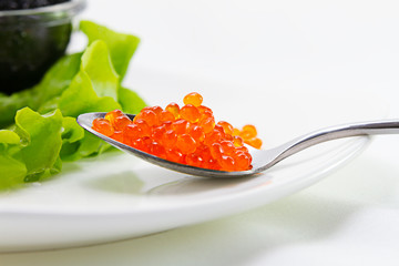 red caviar in spoon