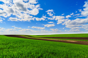 landscape with a farm field under sky with clouds