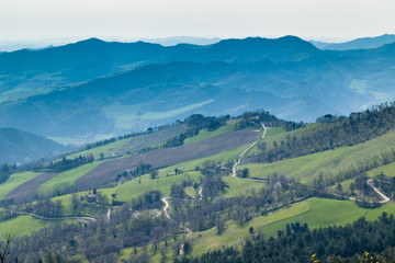 Fototapeta premium Green farmland on rolling hills