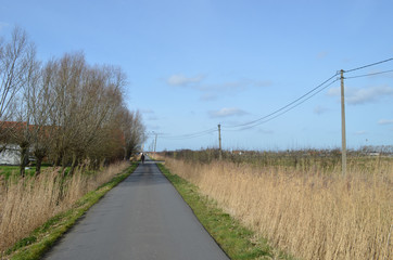 Fototapeta premium small road in countryside, Belgium