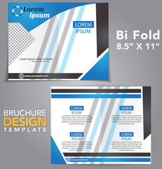 Bi Fold Brochure Vector Design