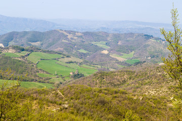 Green farmland on rolling hills