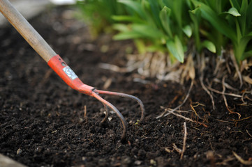 gartenarbeit