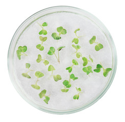 Biosciences