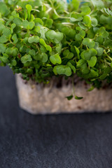 Fresh cress salad on black slate background