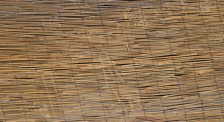texture background of large bamboo canes entwined with each othe