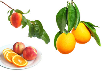 Ripe peach and orange fruits
