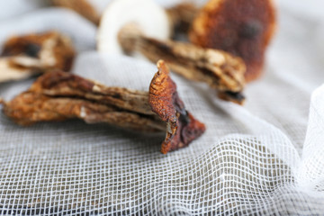 Dried mushrooms on white fabric, closeup