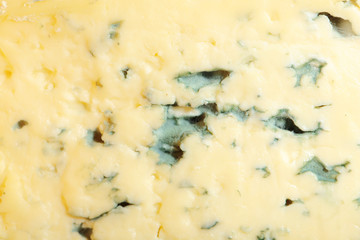 Blue cheese, macro view