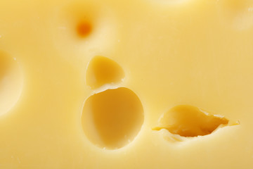 Cheese, macro view