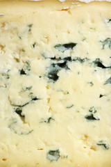 Blue cheese, macro view