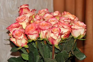 pink roses bouquet background 