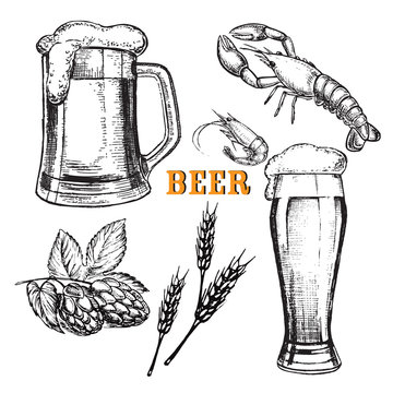 Hand drawn illustrations beer