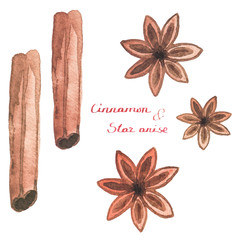 Watercolor cinnamon and star anise on the white background