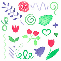 Watercolor set of floral design elements, aquarelle. Vector