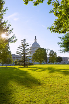 Capitol building Washington DC sunset garden US