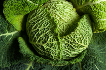 Healthy green organic savoy cabbage close up