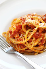 amatriciana, italian tomato sauce pasta