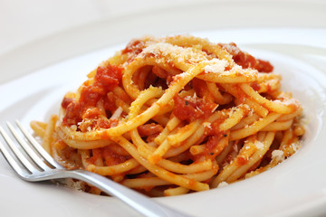 amatriciana, italian tomato sauce pasta