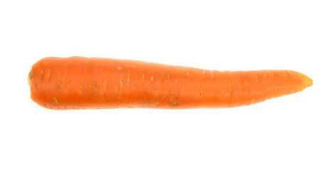 Carrot isolated on white