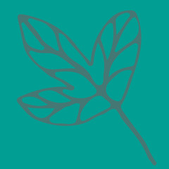 Hand drawn element for design