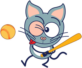 Gray cat ready to hit the ball with a bat when playing baseball