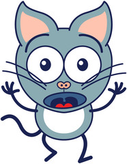 Cute gray cat feeling surprised and scared