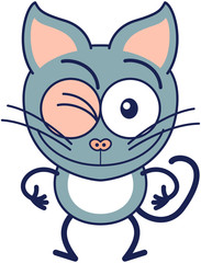 Funny gray cat winking enthusiastically and showing thumbs up