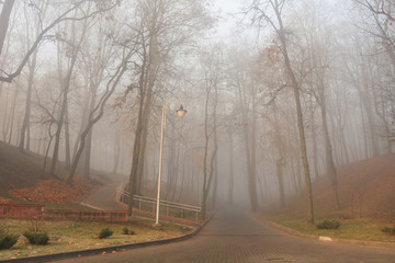 Fototapeta premium in fog