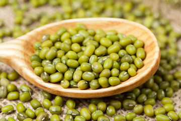 Green healthy uncooked mung beans full of protein super foods