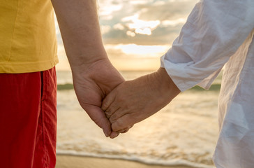 Senior man and woman holding hands of each other at the beach