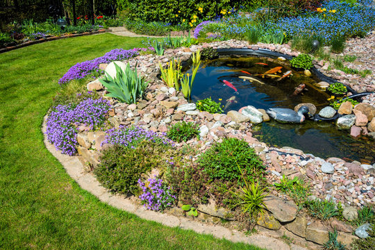 Teichanlage mit Koi&acute;s im Fr&uuml;hling