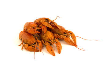 Пять вареных раков