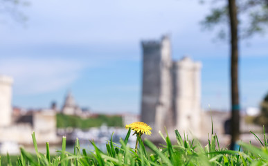doucement le printemps