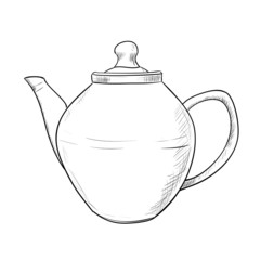 Vector sketch of teapot