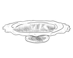 Vector sketch of doodle pan