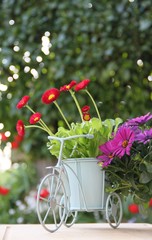 Dekorativer Blumentopf im Garten
