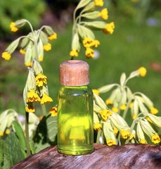 sanfte medizin,mit schlüsselblumen