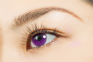 アジア人　つけまつげとパープルカラーコンタクトレンズ　Eyes of the Asian...