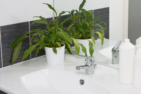 A nice and modern bathroom with grey tiles and plant