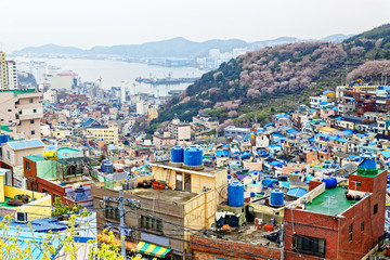 Fototapeta premium Gamcheon Culture Village in South Korea.