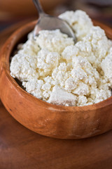 curd in a bowl