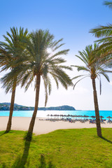 Fototapeta premium Mallorca Cala Santa Ponsa Ponca beach in Majorca